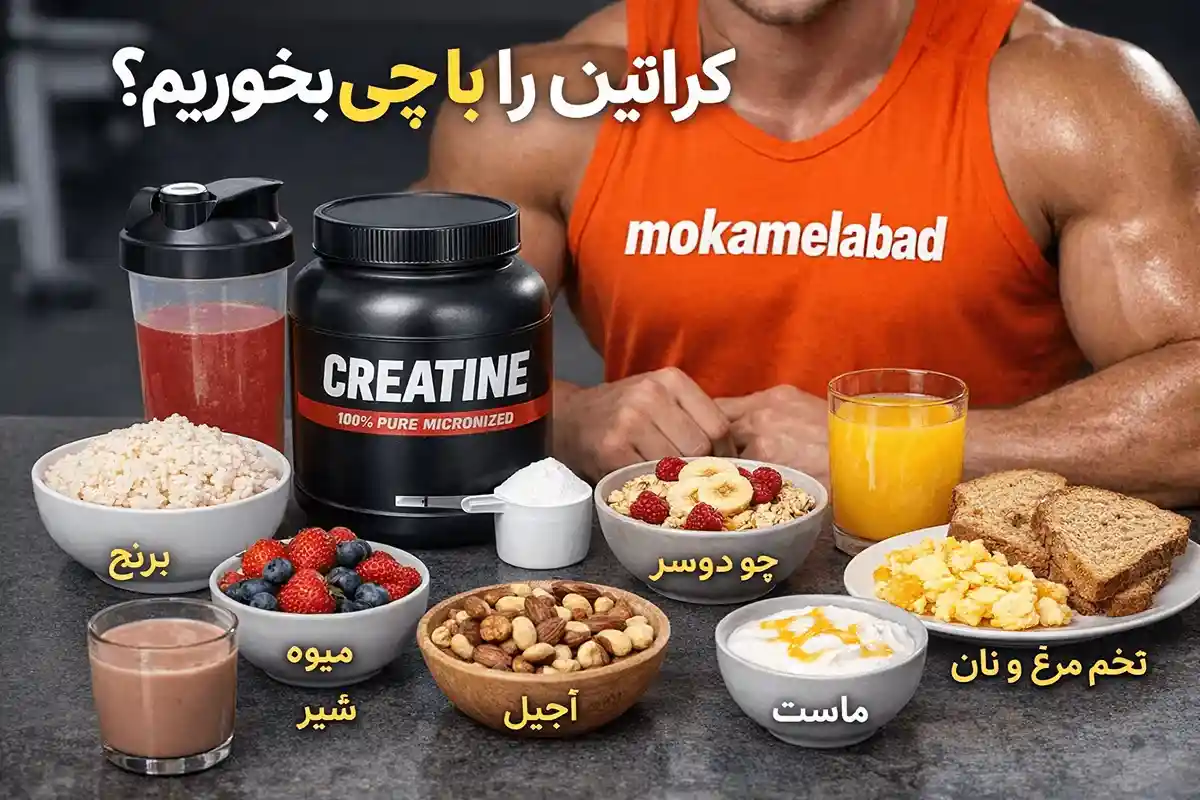 کراتین را با چی بخوریم؟-مکمل آباد بهترین سایت خرید مکمل بدنسازی